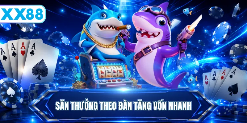 Săn thưởng theo đàn tăng vốn nhanh